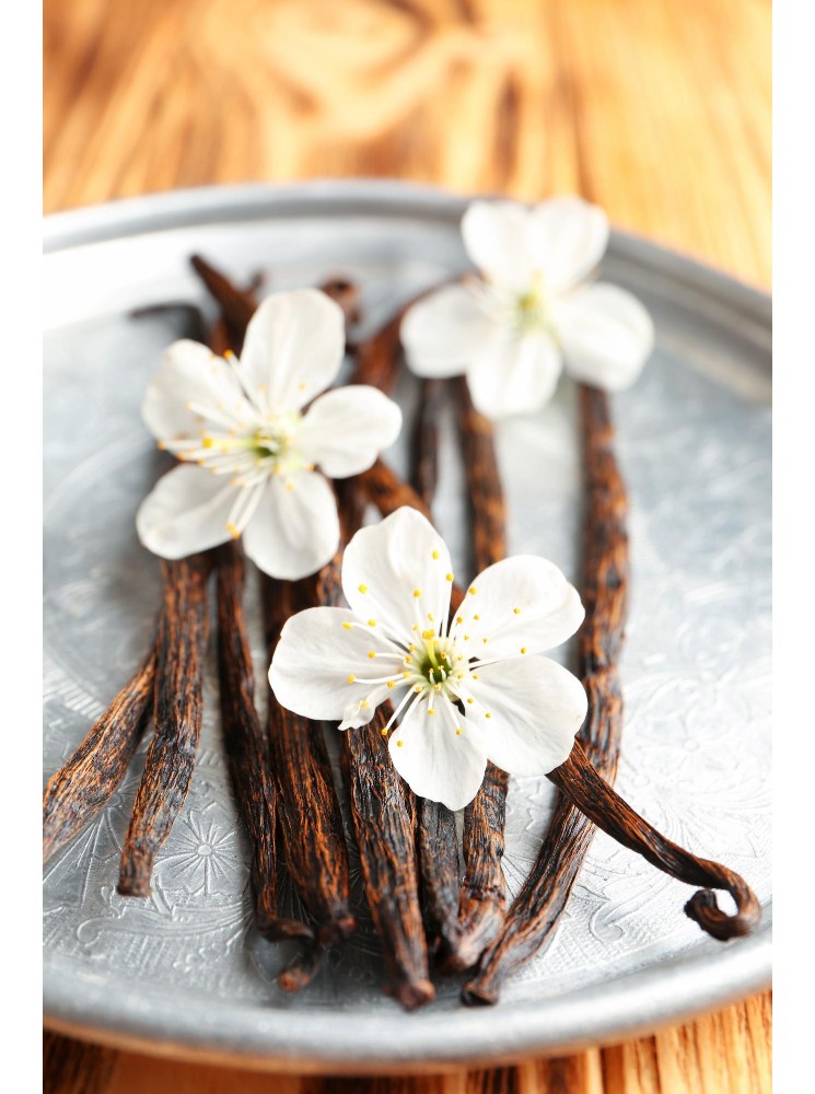 Fragrance Vanille COSMOS