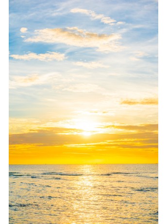 Fragrance Solaire COSMOS