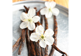 Nouveauté : les fragrances