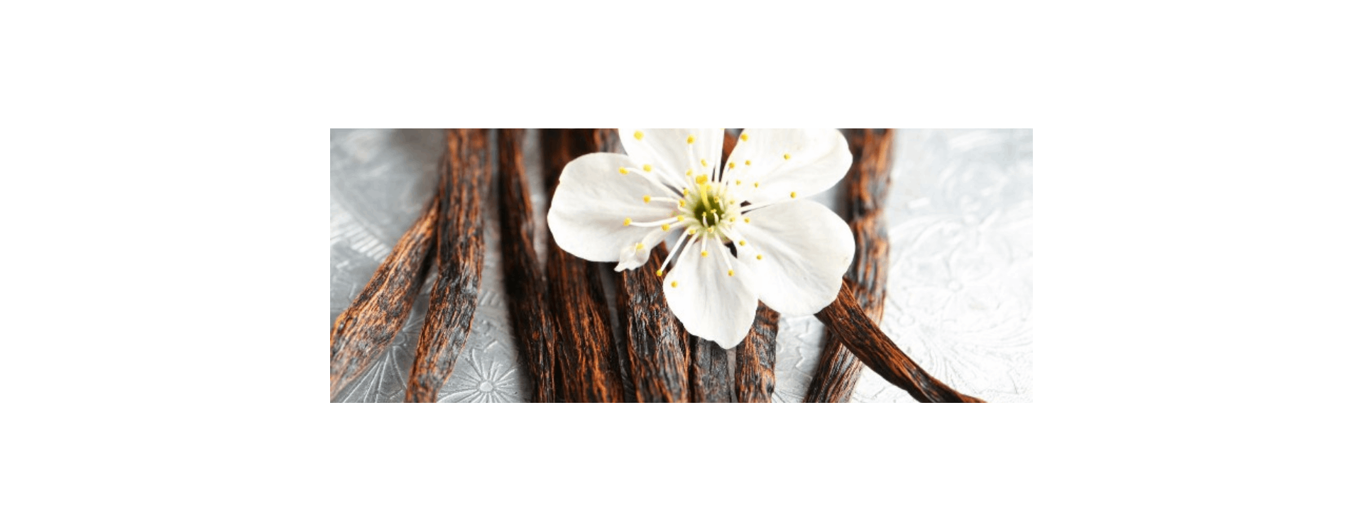 Nouveauté : les fragrances